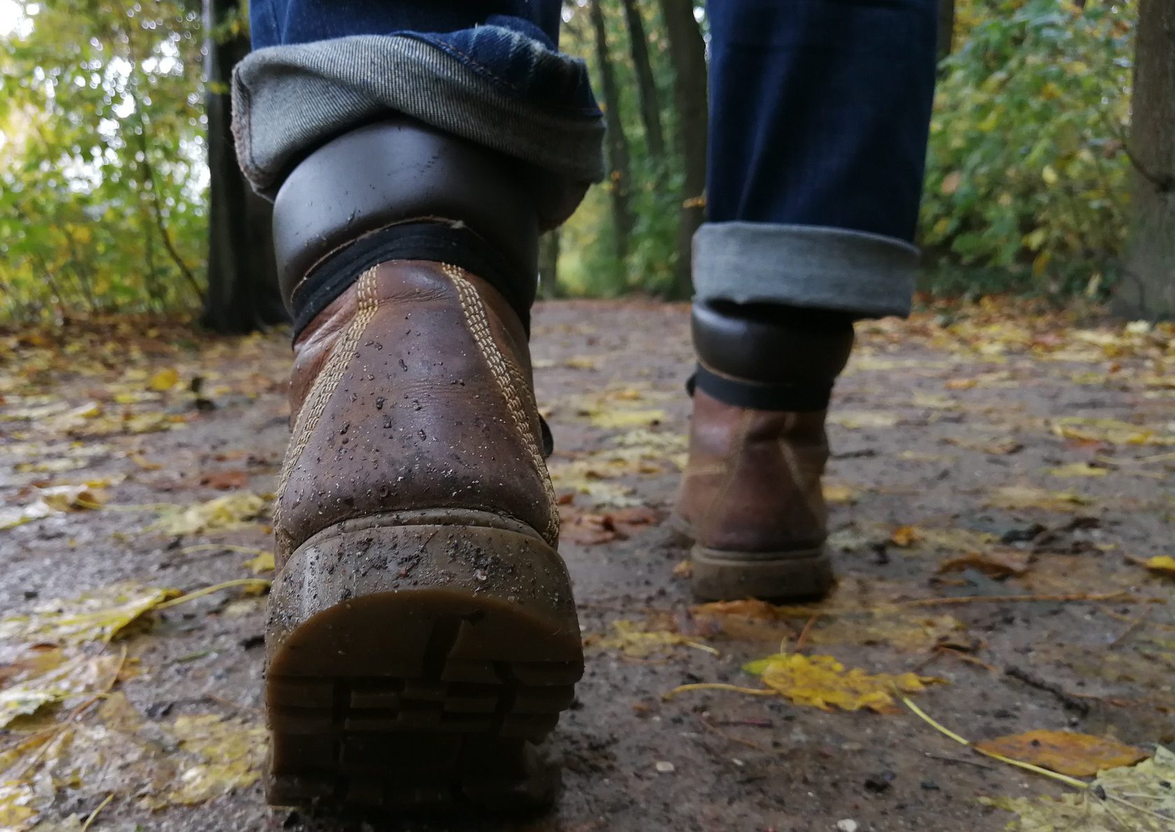 Wandelroute Noardburgum Ritskeboskpaad 4 km Brommels