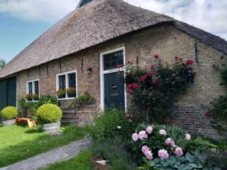 Kunst, muziek en lekkers in Teetún Allemastate