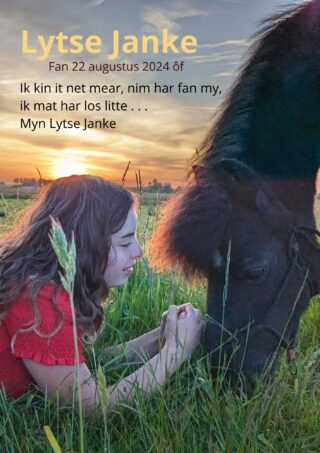 Theatervoorstelling Lytse Janke (Fries)